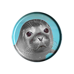 Logo Ferienwohnung Weisser Seehund Borkum